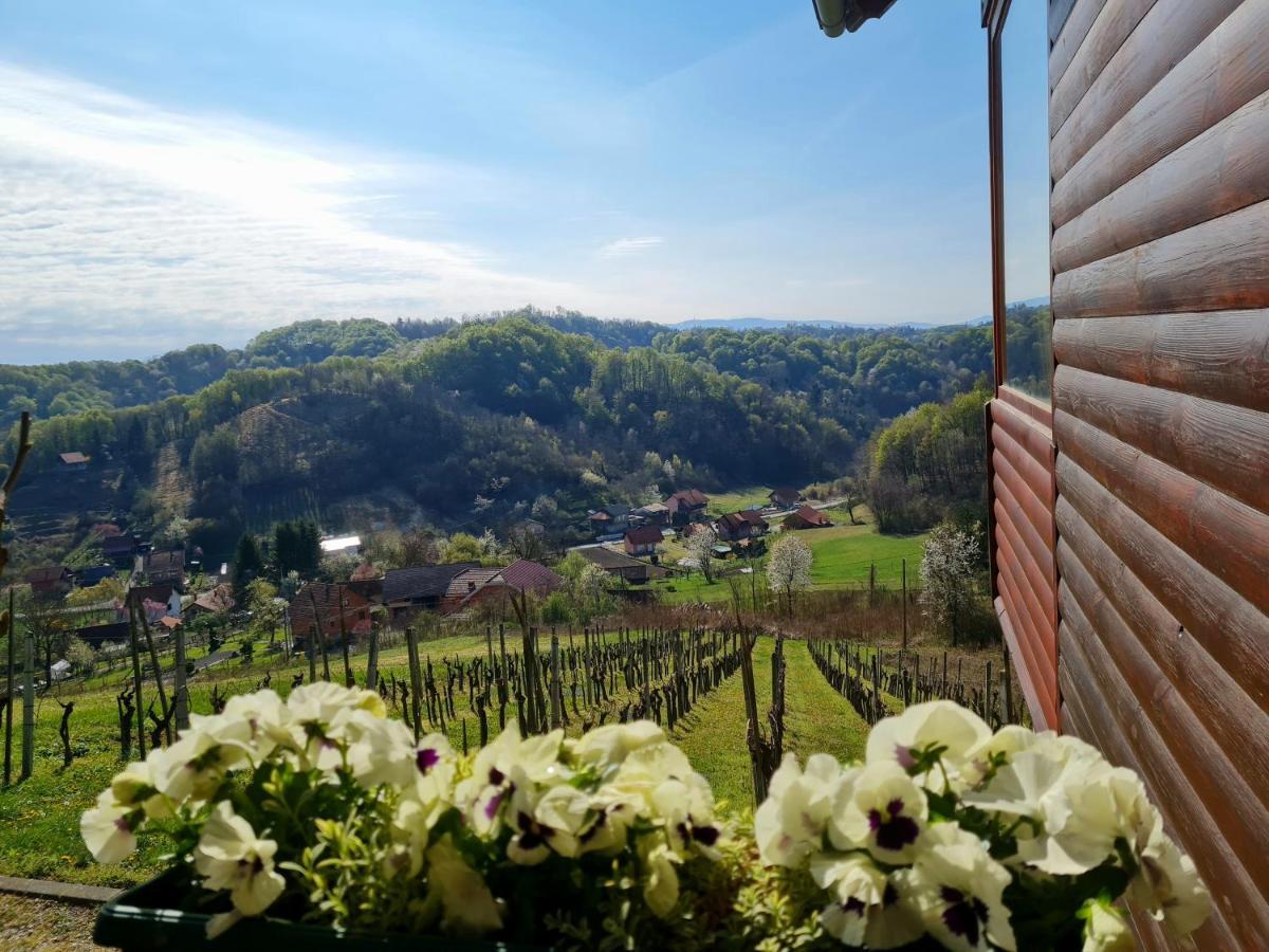 Villa Ruralna Kuca Za Odmor Rajski Mir à Tuhelj Extérieur photo