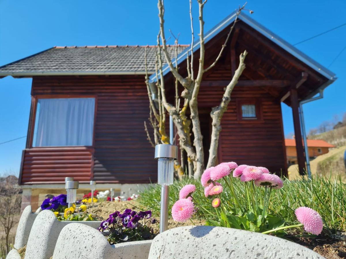 Villa Ruralna Kuca Za Odmor Rajski Mir à Tuhelj Extérieur photo