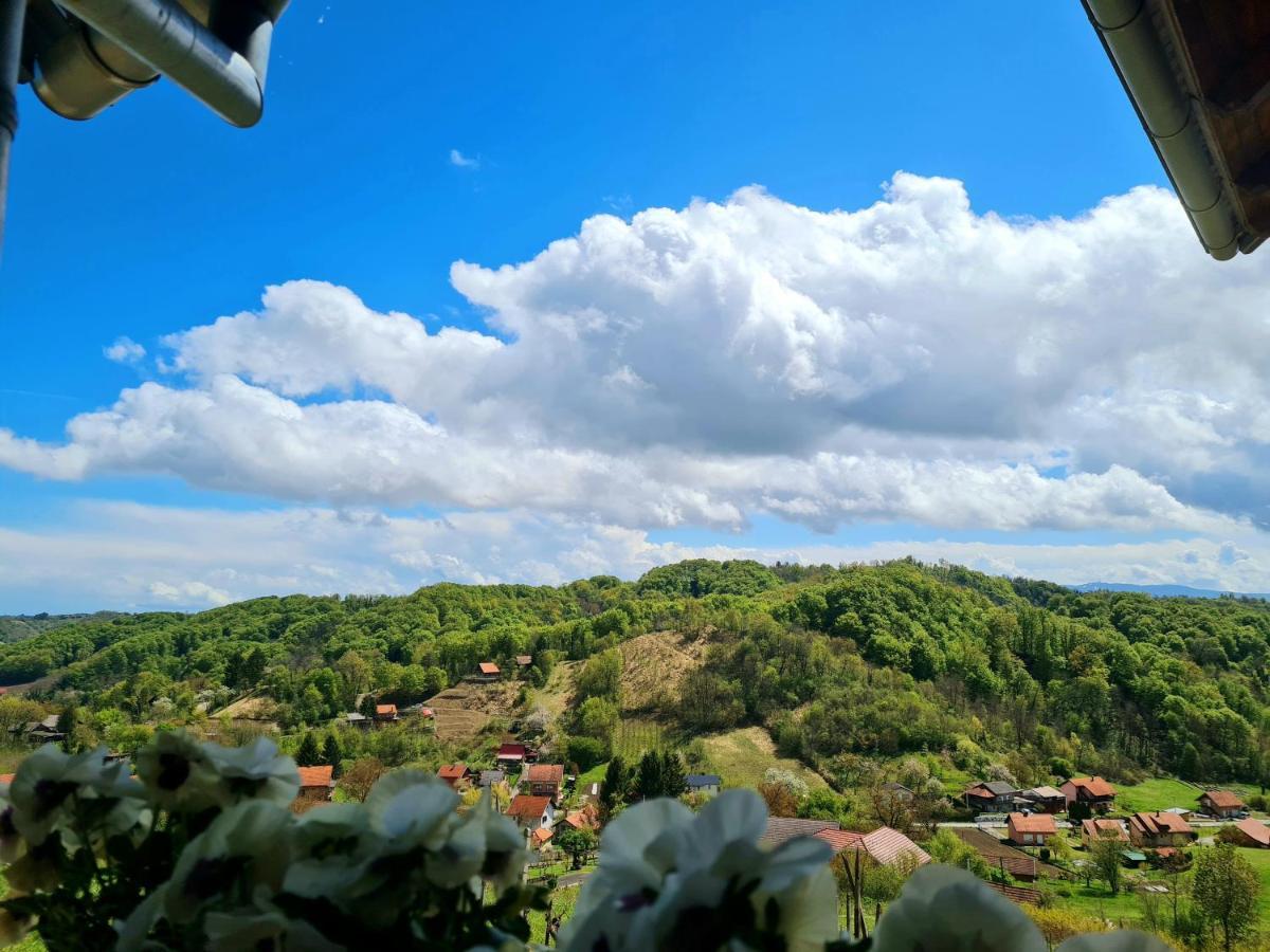 Villa Ruralna Kuca Za Odmor Rajski Mir à Tuhelj Extérieur photo