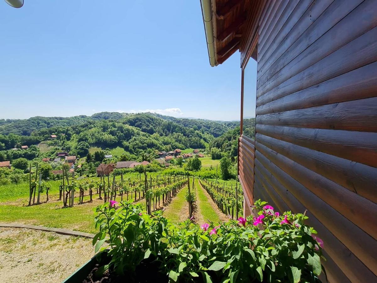 Villa Ruralna Kuca Za Odmor Rajski Mir à Tuhelj Extérieur photo