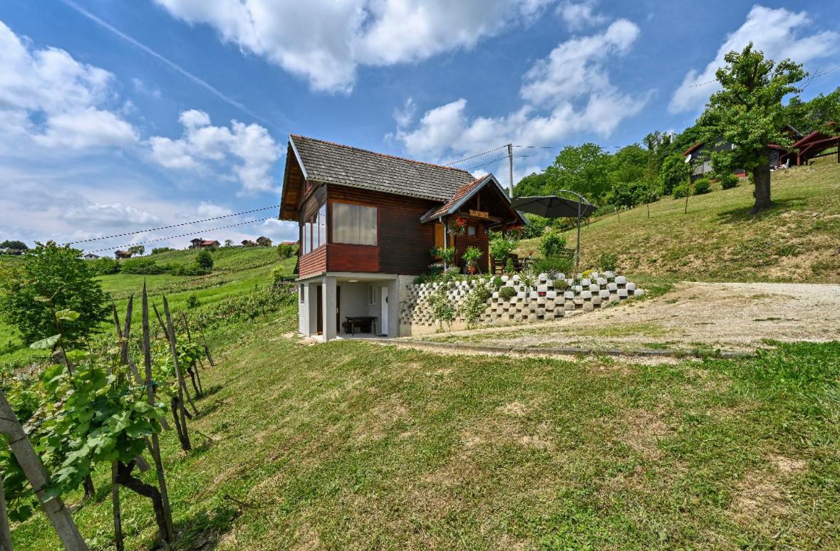 Villa Ruralna Kuca Za Odmor Rajski Mir à Tuhelj Extérieur photo